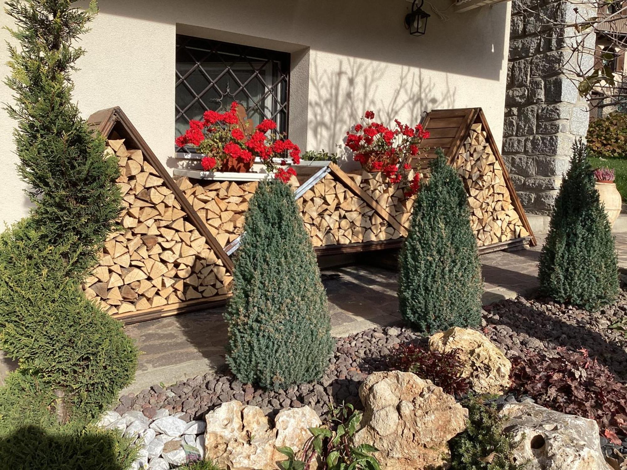 B&B Villa Paradiso Mezzana (Trentino Alto Adige) Exterior foto
