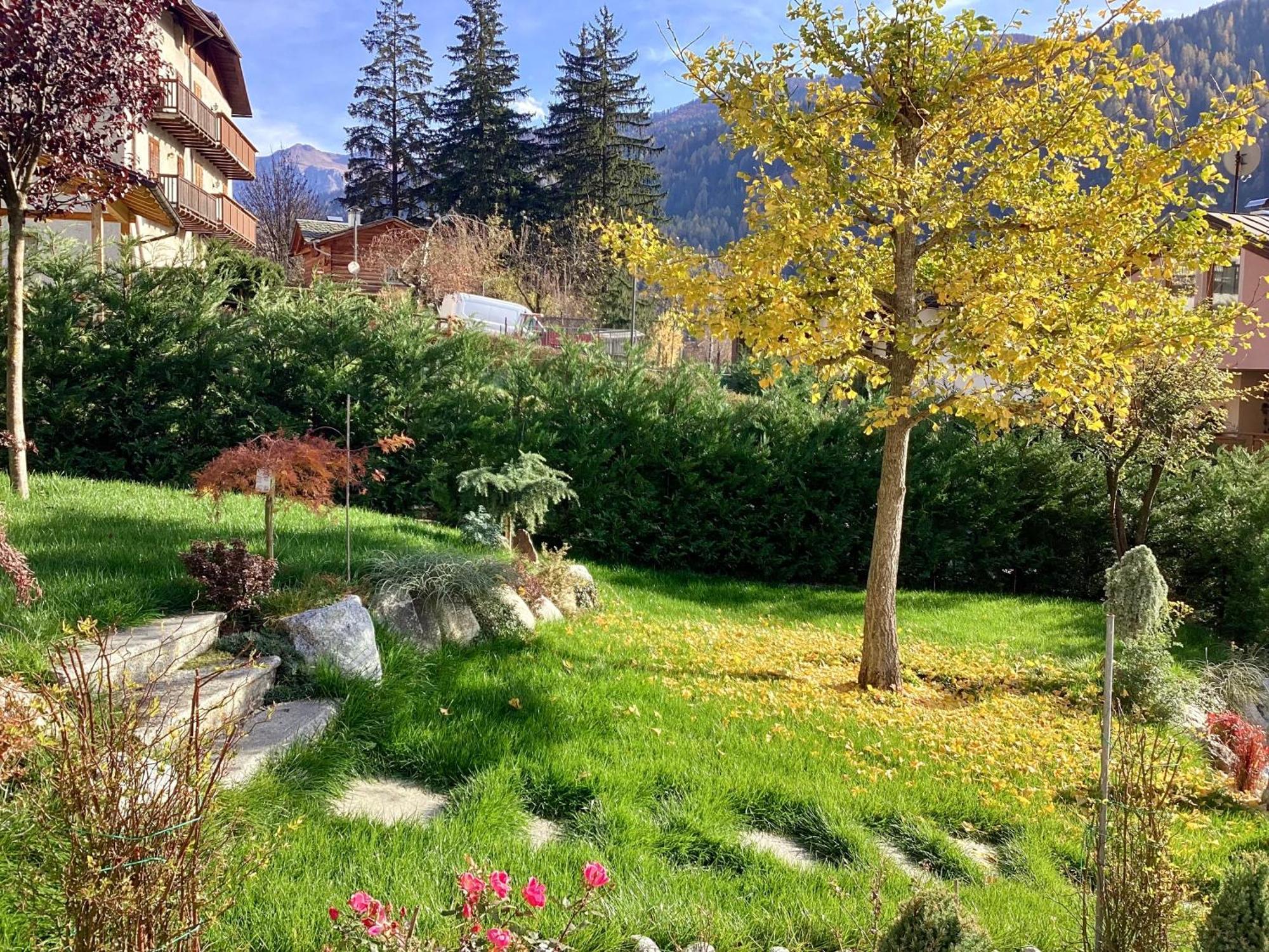 B&B Villa Paradiso Mezzana (Trentino Alto Adige) Exterior foto